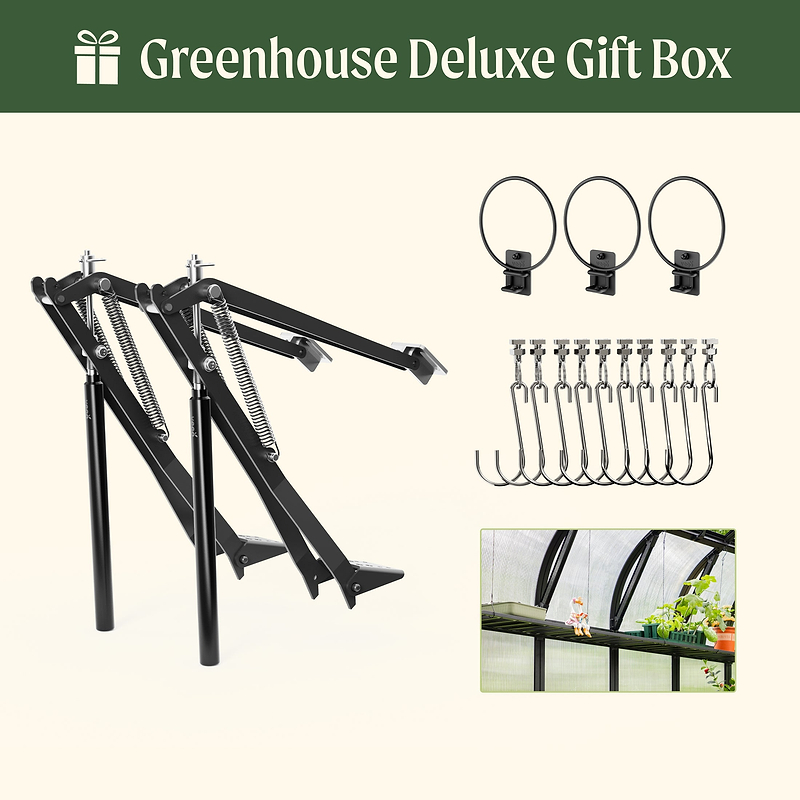 Greenhouse Deluxe Gift Box