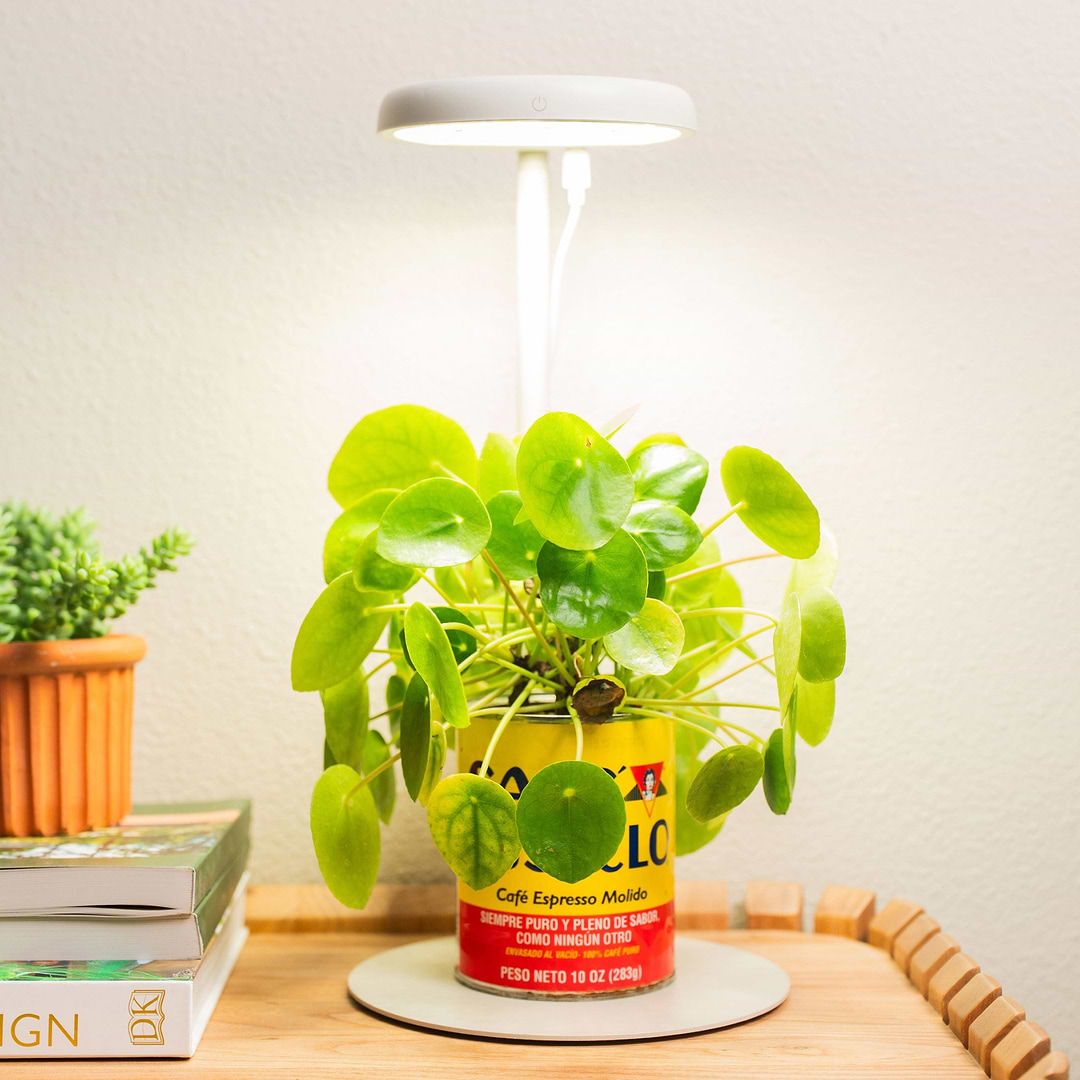 mini grow lights for plants Mini Grow Light Stand for Seedlings & Herbs
