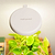 Grow Light Stand Mini | Vego Garden