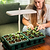Grow Light Stand Starter | Vego Garden