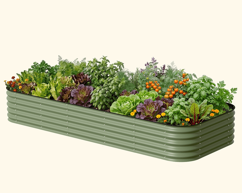 Vego garden beds