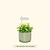 Grow Light Stand Mini | Vego Garden