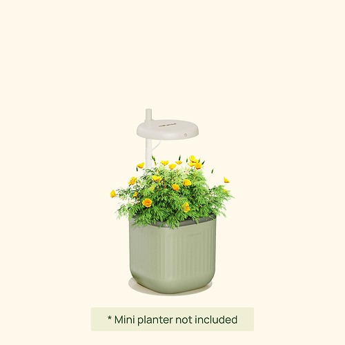 Grow Light Stand - Mini | vego garden