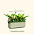 Grow Light Stand Starter | Vego Garden