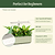Grow Light Stand Starter | Vego Garden