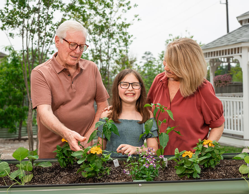 Vego garden beds