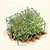 Vego Garden Plant Supports