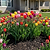 Vego Garden Plant Supports