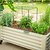 Vego Garden Plant Supports