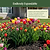 Vego Garden Plant Supports