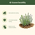 Vego Garden Plant Supports