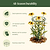 Vego Garden Plant Supports