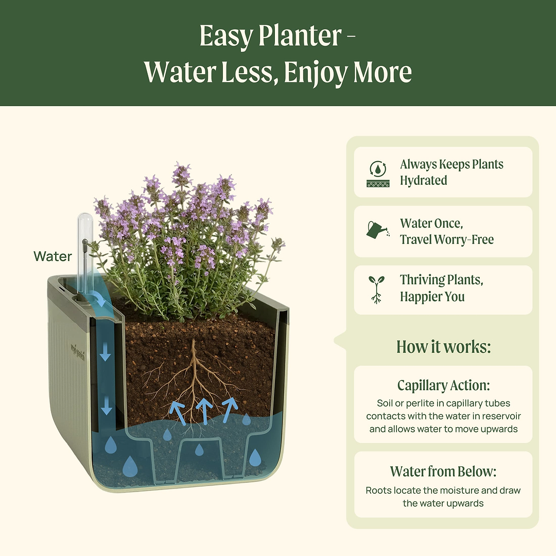 EZ Self-Watering Herb Planter with Trellis G2