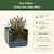 Herb Planter G2 | Vego Garden