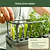 Herb Planter G2 | Vego Garden