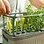 Herb Planter G2 | Vego Garden