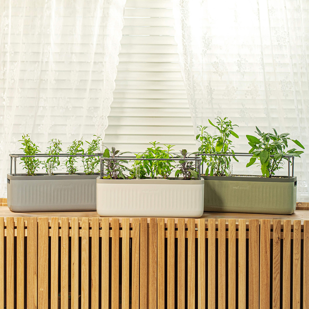 EZ Self-Watering Herb Planter with Trellis G2
