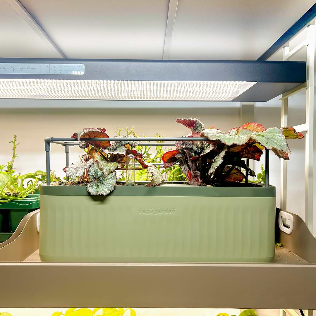 self watering herb planter nz EZ Self-Watering Herb Planter with Trellis G2