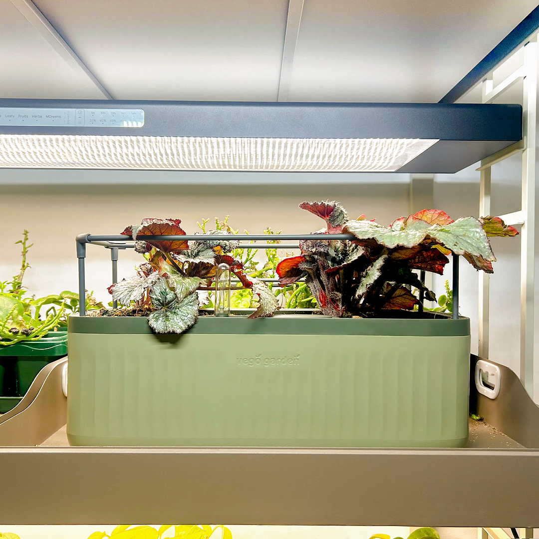 self watering herb planter nz EZ Self-Watering Herb Planter with Trellis G2