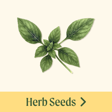 Vego garden beds