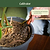 Heritage Hand Tools | Vego Garden
