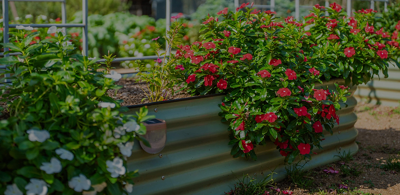 Vego garden beds