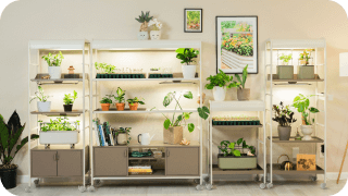 Vego Garden photo 20