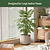 EZ Home Planter | Vego Garden