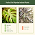 EZ Home Planter | Vego Garden