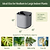 EZ Home Planter | Vego Garden
