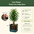 EZ Home Planter | Vego Garden