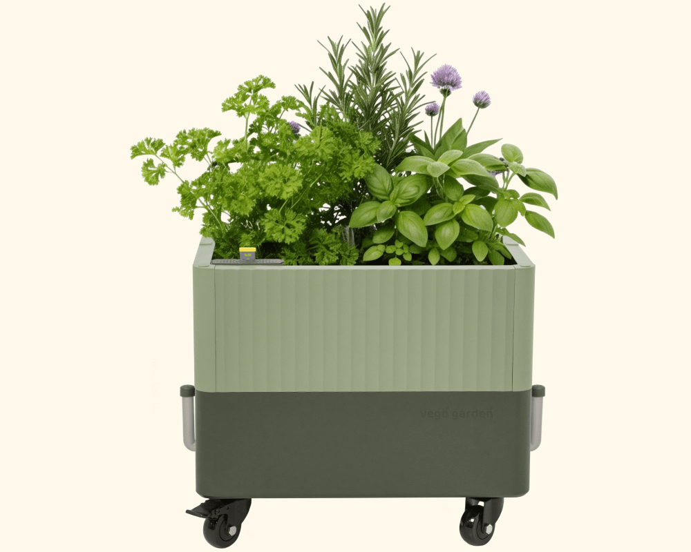 costco planter self watering EZCube Self-Watering Rolling Planter | Indoor Garden