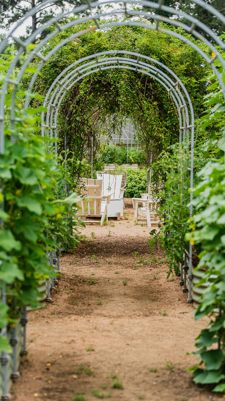 Vego garden beds