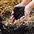 Locally Sourced Organic Worm Castings Omri Certified Vego Garden