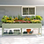 Elevated Garden Bed - Jumbo Series | Vego Garden