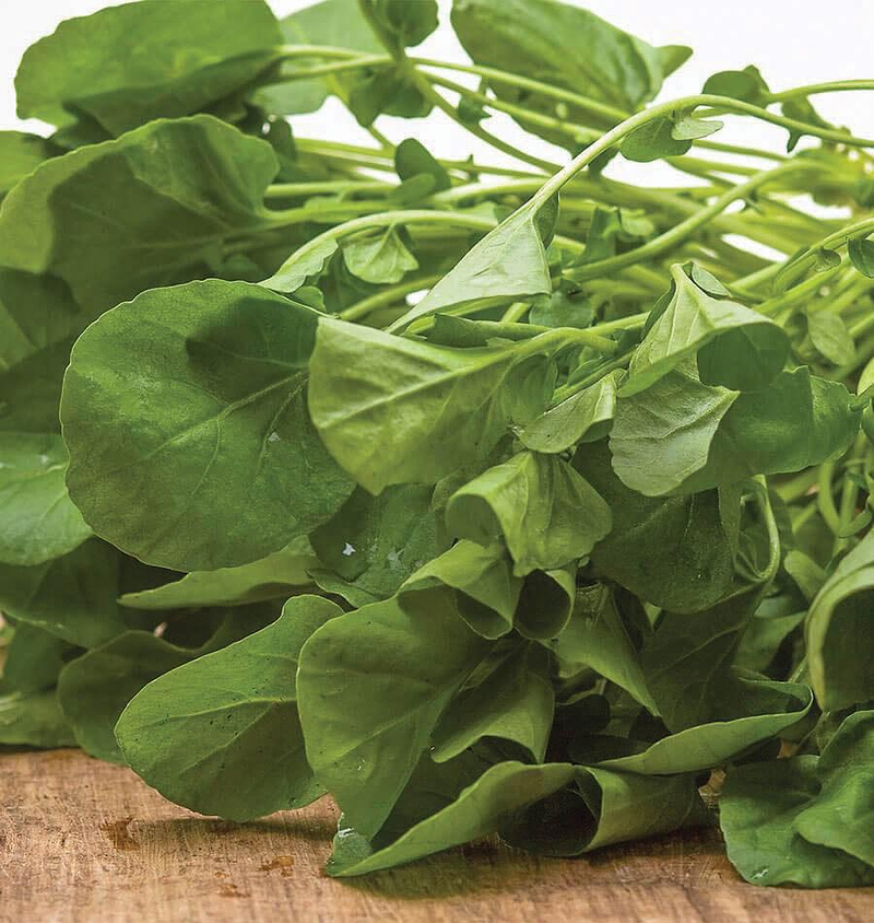 Upland Cress Seeds