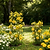 Flower Cage Round - 2 Pack  | Vego Garden