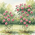 Flower Cage Trumpet - 2 Pack | Vego Garden