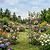 Flower Cage Round - 2 Pack  | Vego Garden