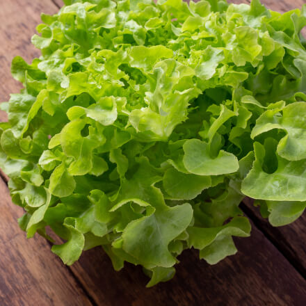 Vego garden beds