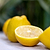 Lisbon Lemon Tree