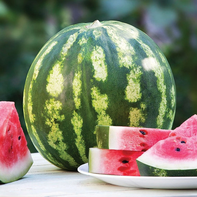 Crimson Sweet Watermelon Seeds