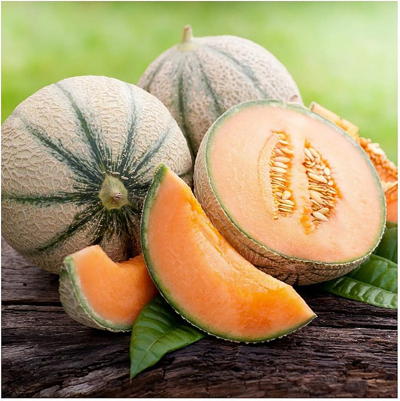 Planters Jumbo Cantaloupe Seeds