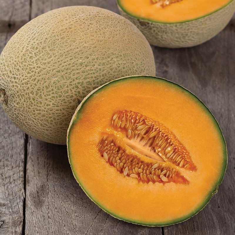 Hales Best Jumbo Cantaloupe Melon Seeds