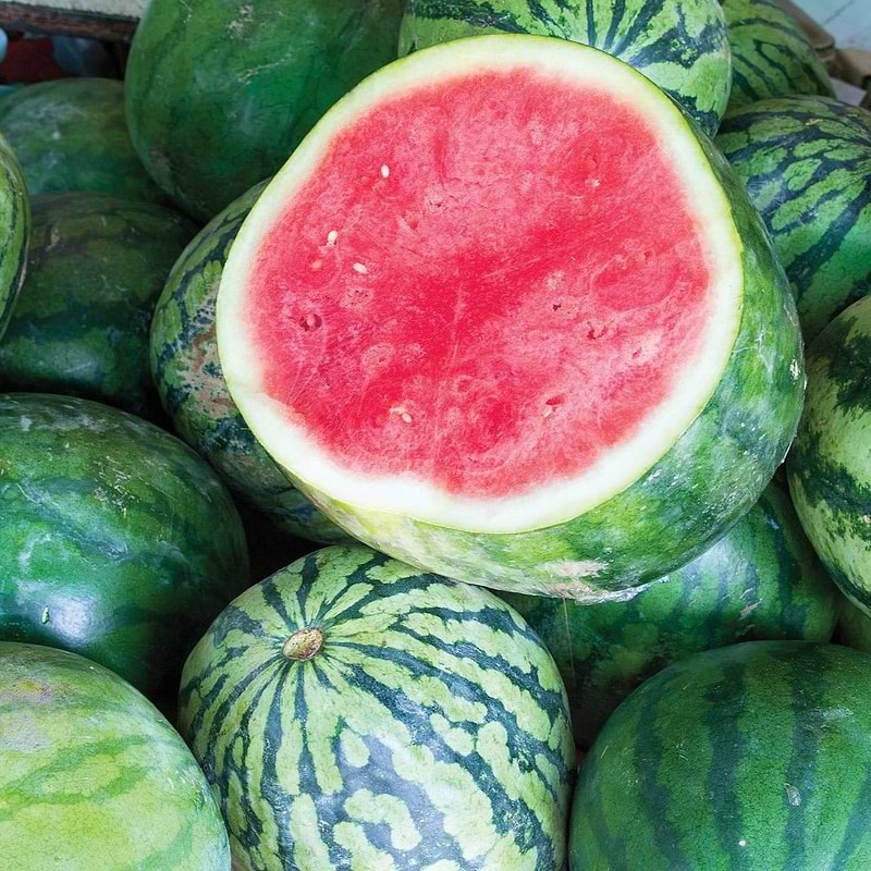 Dixie Queen Watermelon Seeds