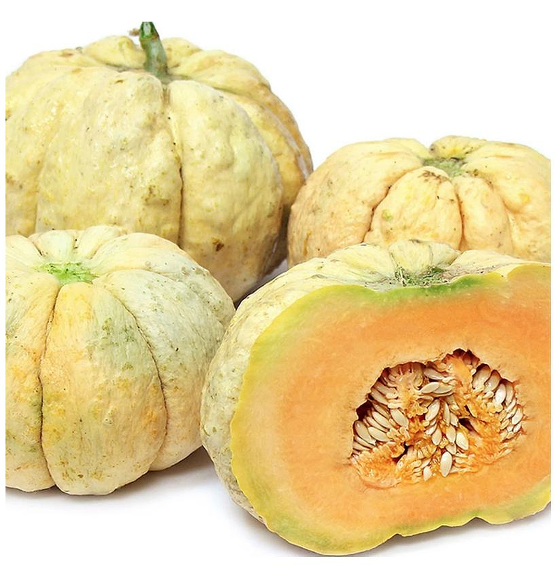 Prescott Fond Blanc Melon Seeds