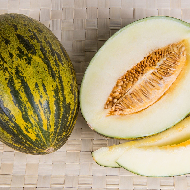 Piel de Sapo Melon Seeds