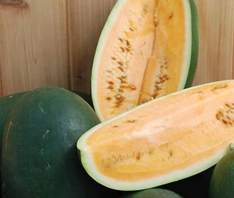Sweet Siberian Watermelon Seeds