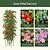 MaxGrow Tomato Tower - 3 Pack | Vego Garden
