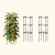 MaxGrow Tomato Tower - 3 Pack | Vego Garden